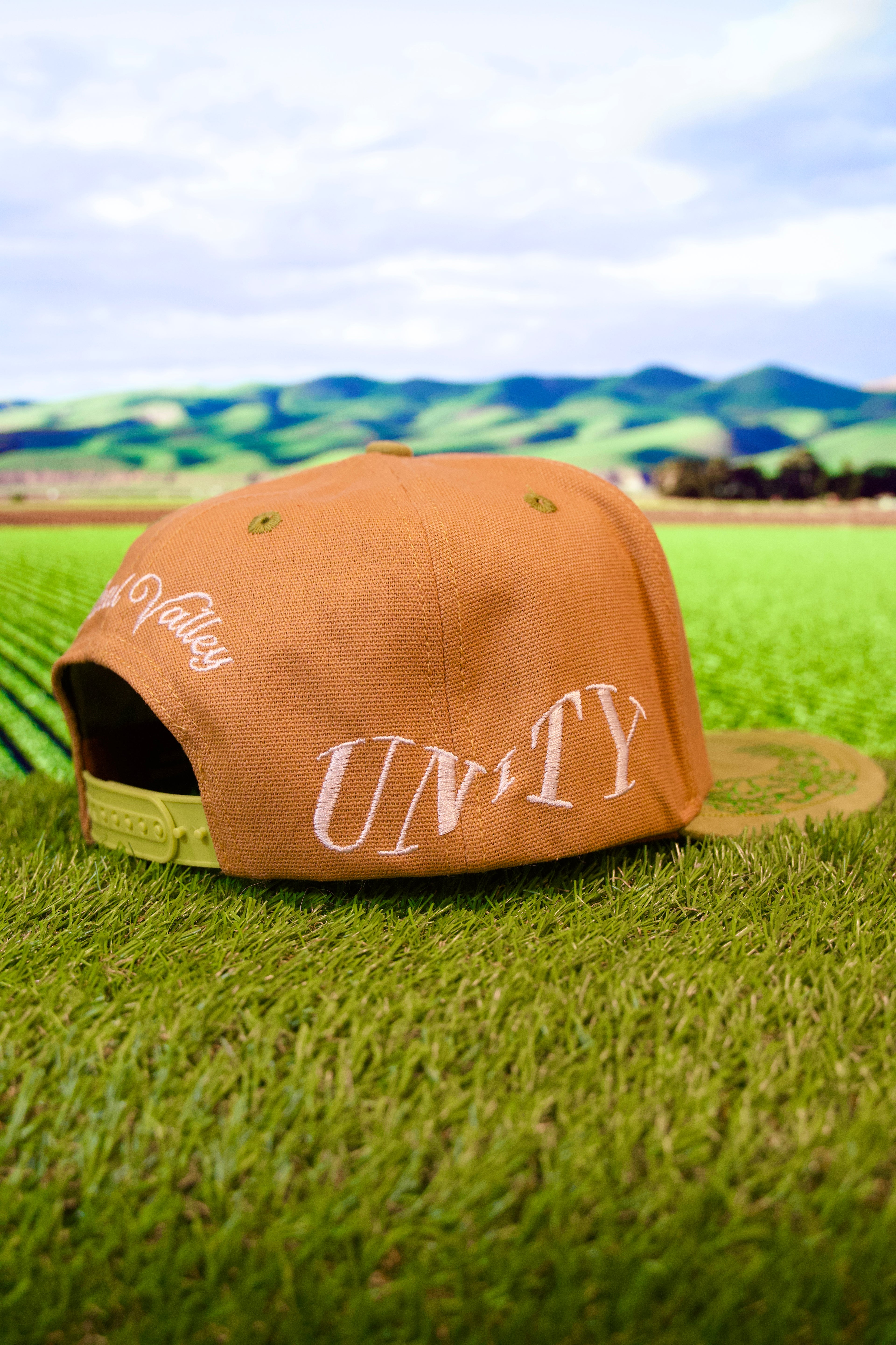 Central Valley: The Heart of CA Snapback (Brown/Green)