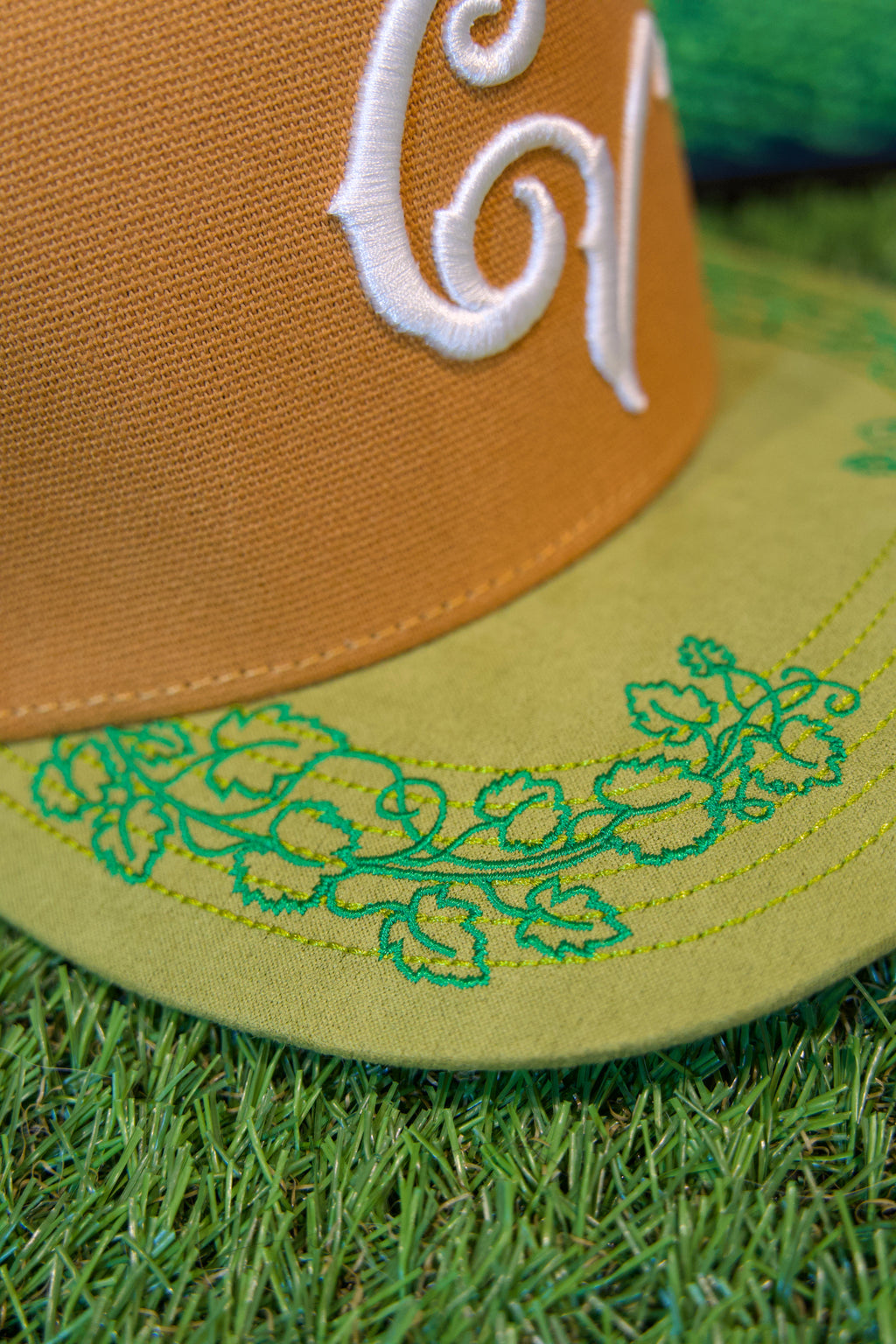 Central Valley: The Heart of CA Snapback (Brown/Green)